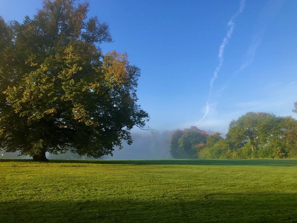 La location d'un chapiteau pour votre mariage : bonne ou mauvaise idée ?
