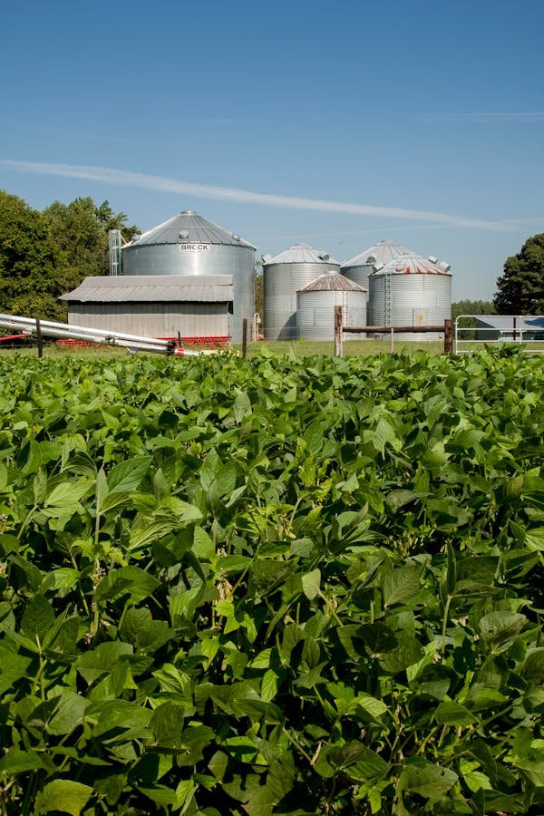 Silo de stockage : optimisez votre capacité de stockage